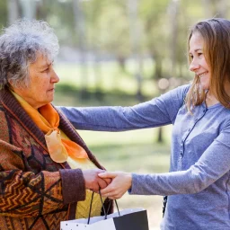 What Is a Care Companion?